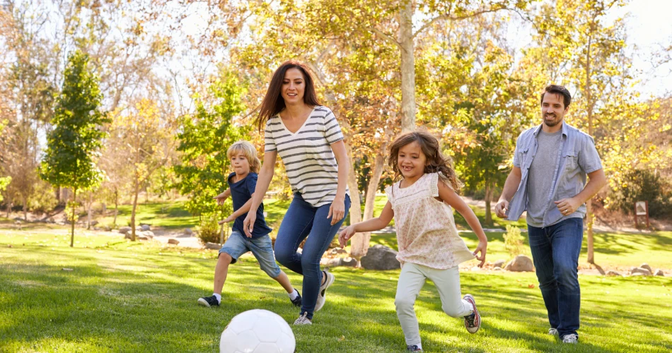 Fun Things to Do in Concord, United States with Family and Friends