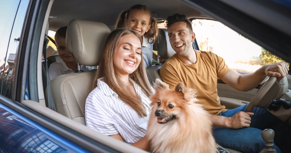 Fun Things to Do in Concord, United States with Family and Friends